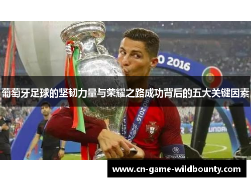 葡萄牙足球的坚韧力量与荣耀之路成功背后的五大关键因素 葡萄牙足球的坚韧力量与荣耀之路成功背后的五大关键因素
